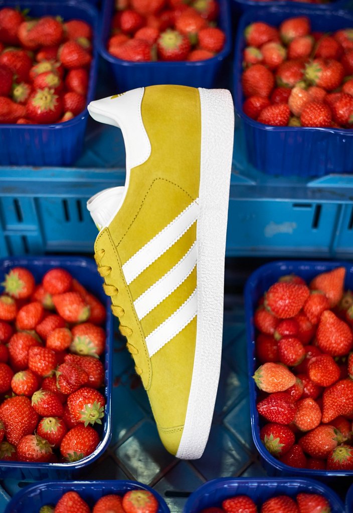 Adidas-Gazelle-Frederike-Wetzels5.jpg