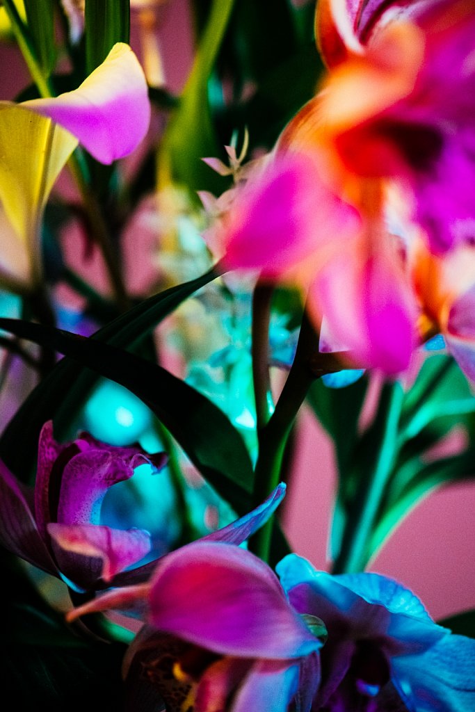 Acidflowers-Frederike-Wetzels-6665.jpg