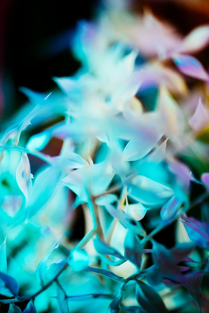 Acidflowers-Frederike-Wetzels-6723.jpg