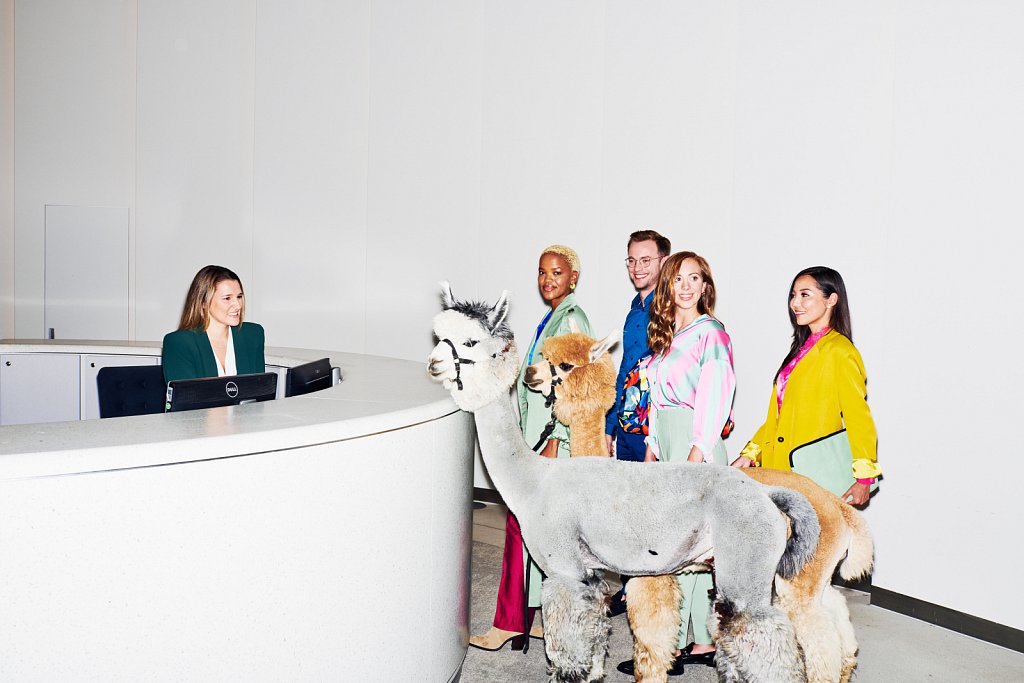 EY-M06-Alpaca-01748-2.jpg